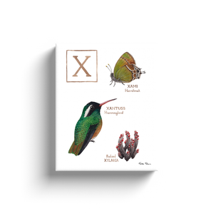 The Letter X Nature Alphabet Ready to Hang Canvas Print