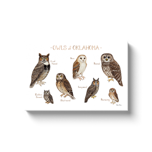 Oklahoma Owls Ready to Hang Canvas Print