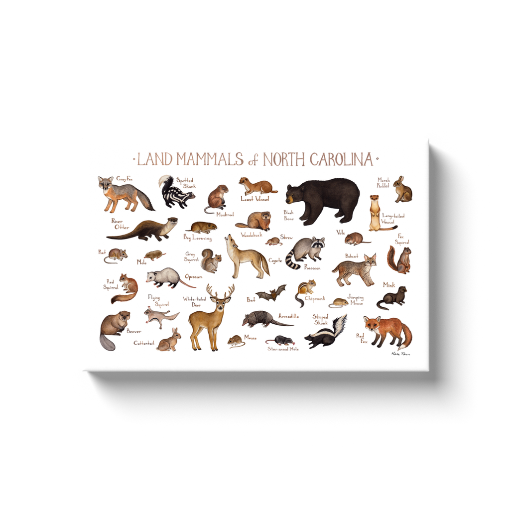 North Carolina Land Mammals Ready to Hang Canvas Print