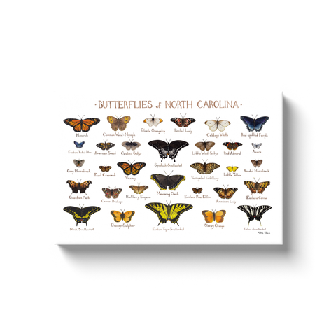 North Carolina Butterflies Ready to Hang Canvas Print