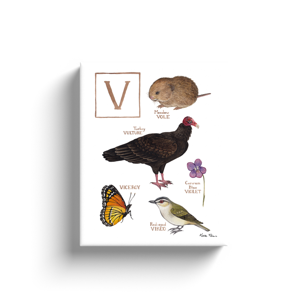 The Letter V Nature Alphabet Ready to Hang Canvas Print
