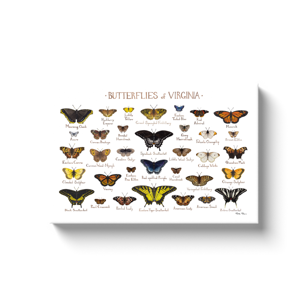 Virginia Butterflies Ready to Hang Canvas Print