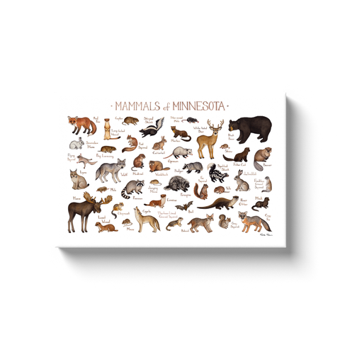 Minnesota Mammals Ready to Hang Canvas Print