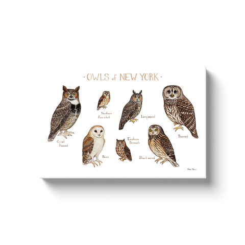 New York Owls Ready to Hang Canvas Print