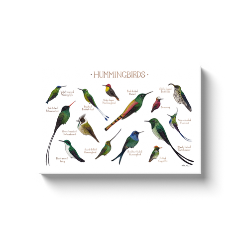 Hummingbirds All-Over Print XS-XL Leggings – Kate Dolamore Art