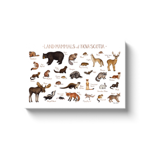 Nova Scotia Land Mammals Ready to Hang Canvas Print