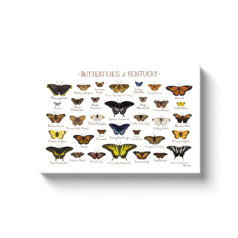 Kentucky Butterflies Ready to Hang Canvas Print