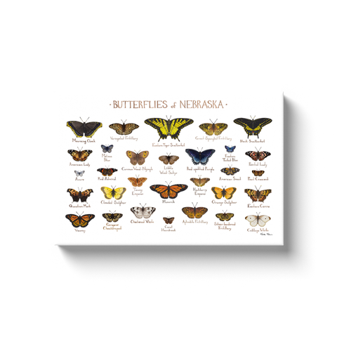 Nebraska Butterflies Ready to Hang Canvas Print