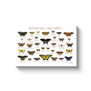 New Jersey Butterflies Ready to Hang Canvas Print
