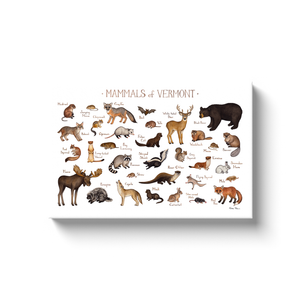 Vermont Mammals Ready to Hang Canvas Print