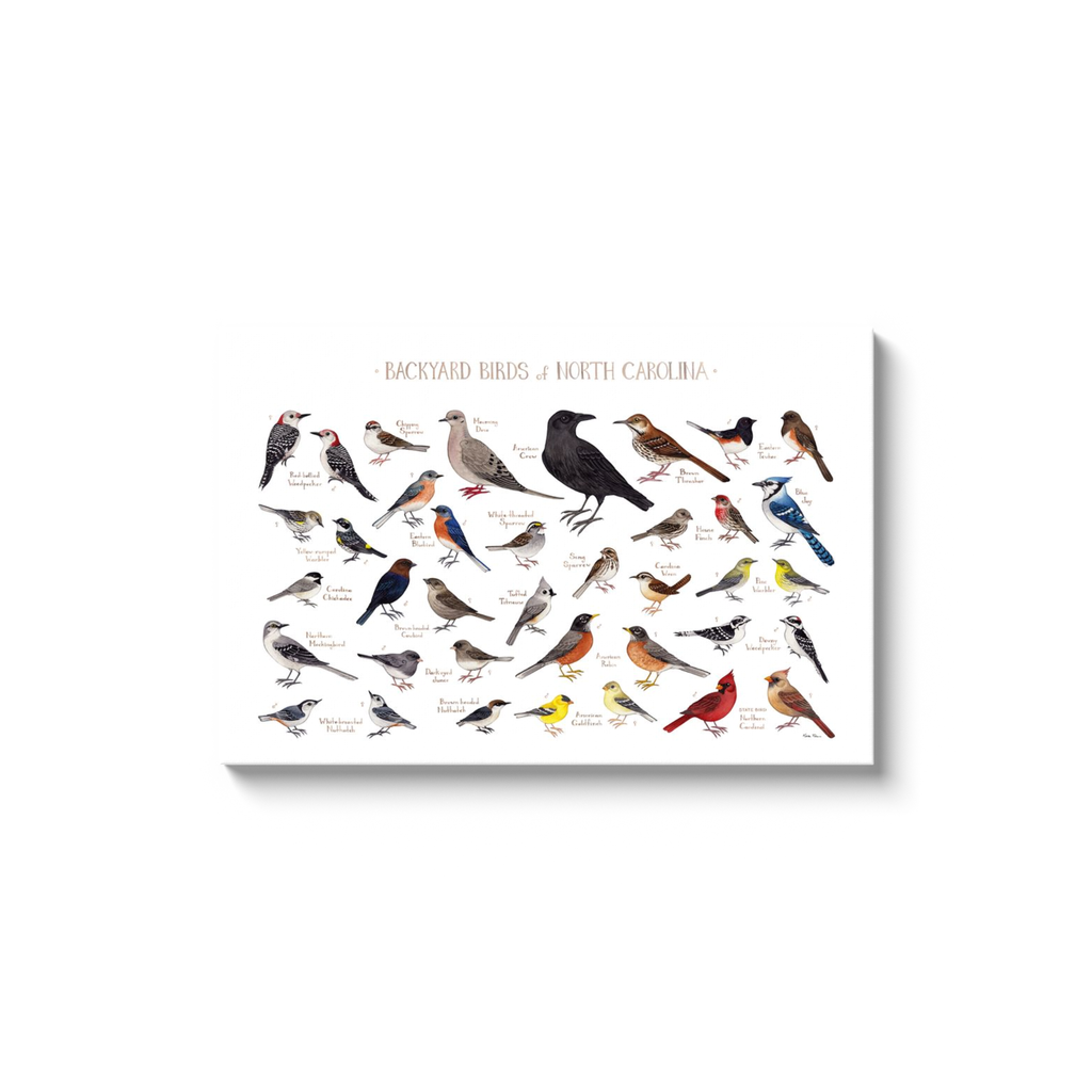 North Carolina Backyard Birds Ready to Hang Canvas Print – Kate