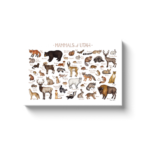 Utah Mammals Ready to Hang Canvas Print
