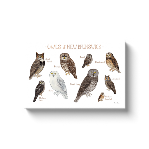 New Brunswick Owls Ready to Hang Canvas Print