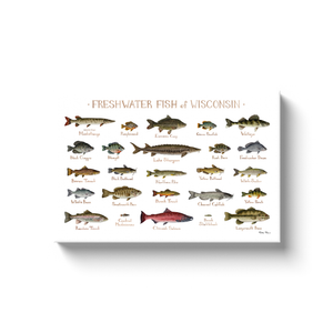 Wisconsin Freshwater Fish Ready to Hang Canvas Print