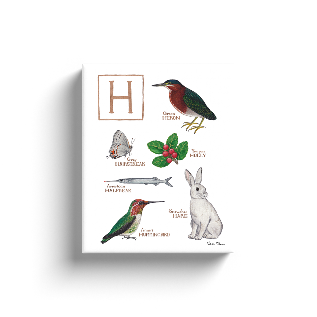 The Letter H Nature Alphabet Ready to Hang Canvas Print