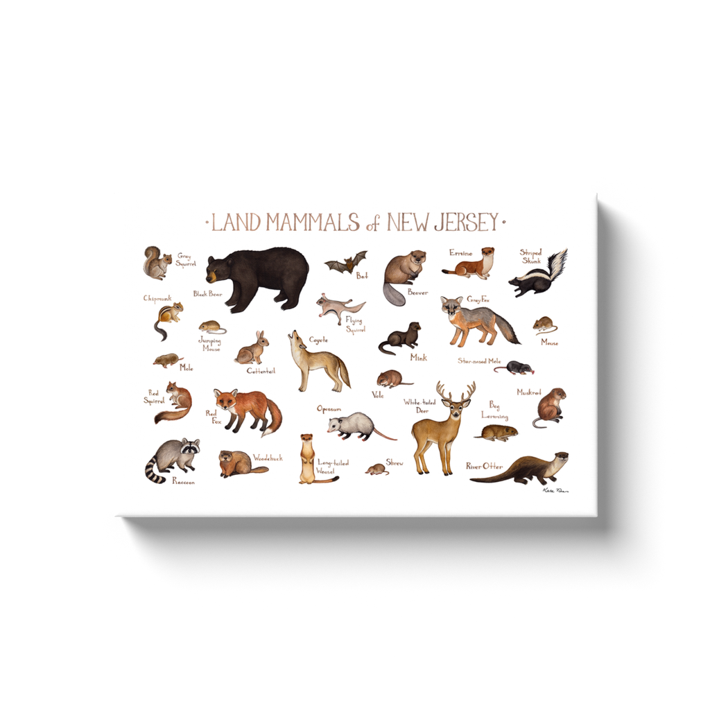 New Jersey Land Mammals Ready to Hang Canvas Print