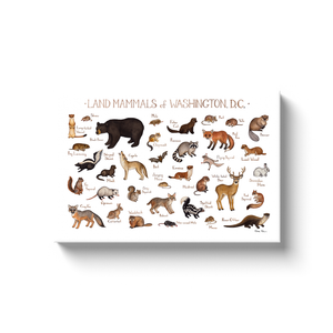 Washington, D.C. Land Mammals Ready to Hang Canvas Print