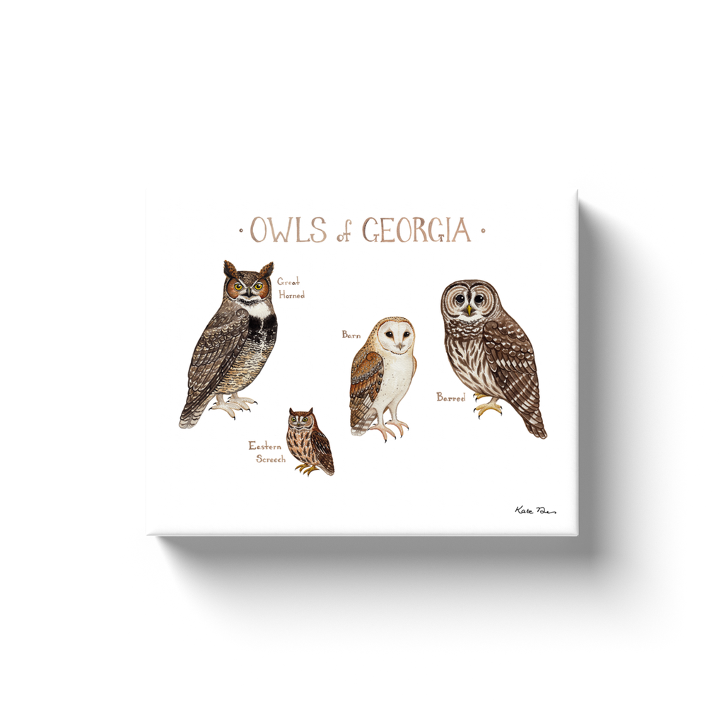 Georgia Owls Ready to Hang Canvas Print