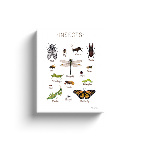 Insects Ready to Hang Canvas Print