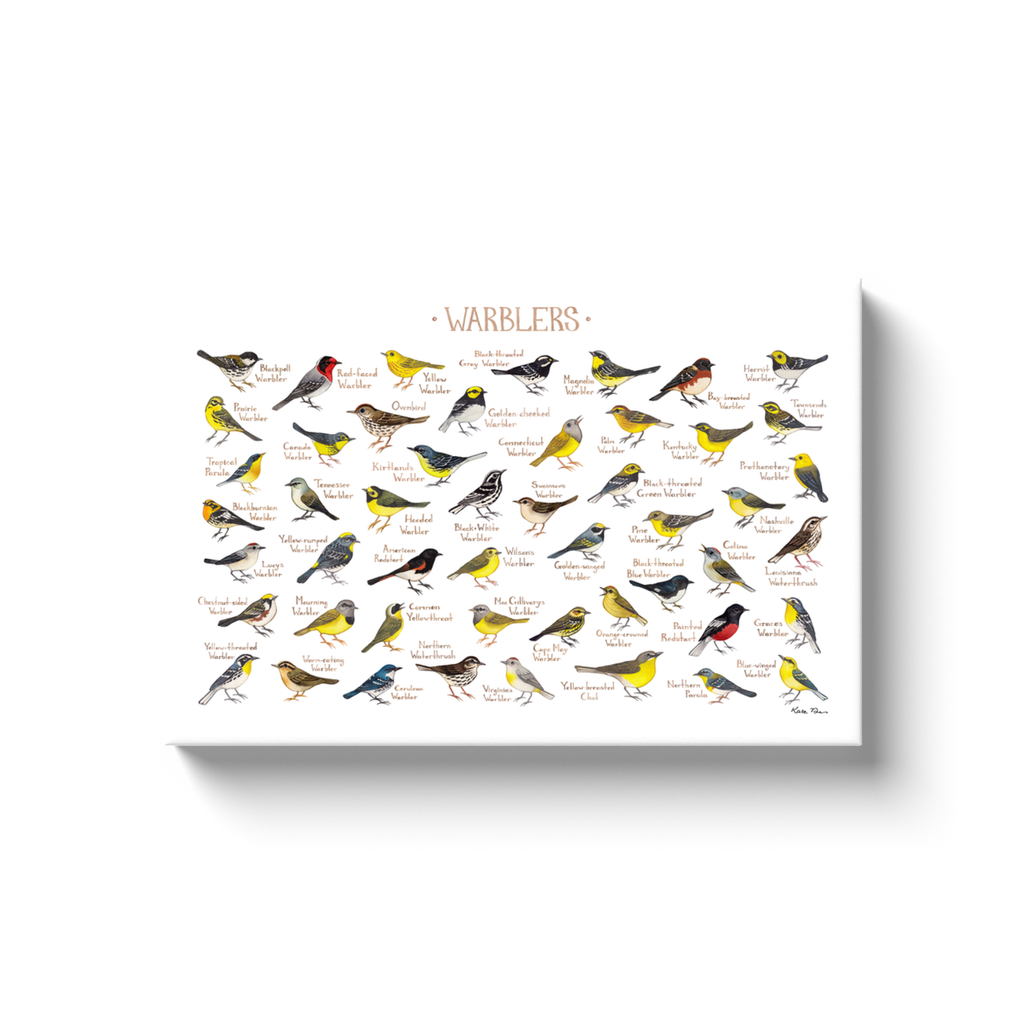 Warblers of North America Ready to Hang Canvas Print