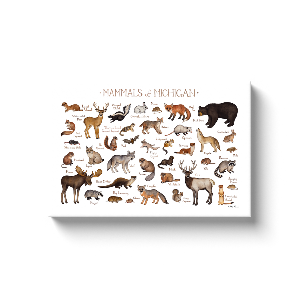 Michigan Mammals Ready to Hang Canvas Print