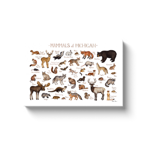 Michigan Mammals Ready to Hang Canvas Print