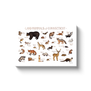 Connecticut Land Mammals Ready to Hang Canvas Print