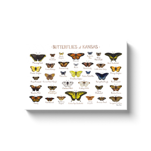 Kansas Butterflies Ready to Hang Canvas Print