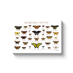 New York Butterflies Ready to Hang Canvas Print