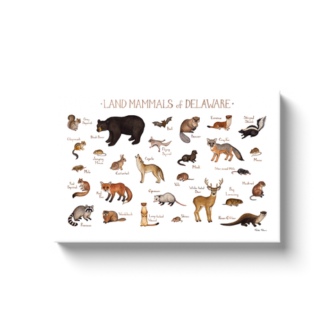 Delaware Land Mammals Ready to Hang Canvas Print