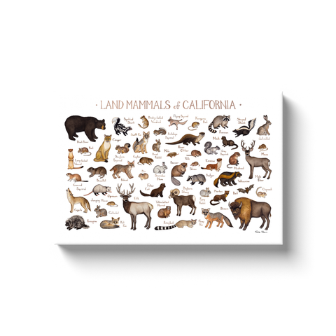 California Land Mammals Ready to Hang Canvas Print
