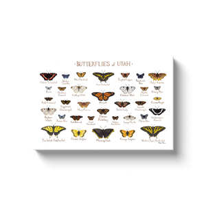 Utah Butterflies Ready to Hang Canvas Print