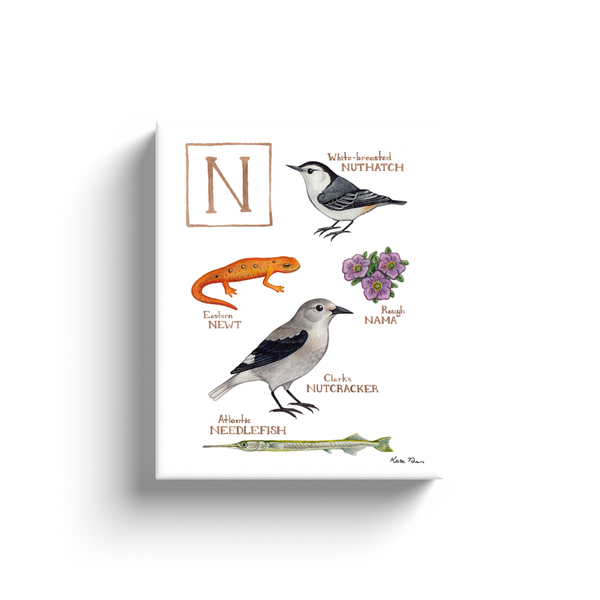 The Letter N Nature Alphabet Ready to Hang Canvas Print