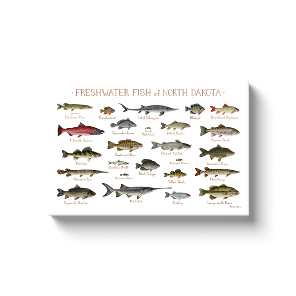 North Dakota Freshwater Fish Ready to Hang Canvas Print