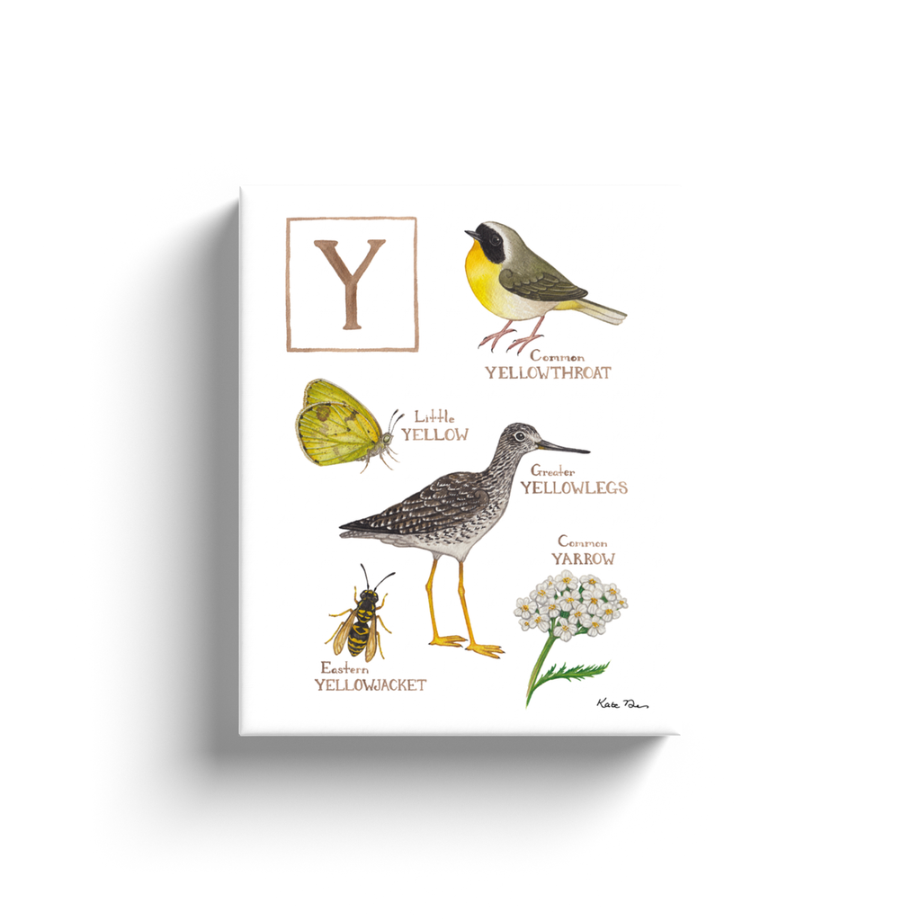 The Letter Y Nature Alphabet Ready to Hang Canvas Print