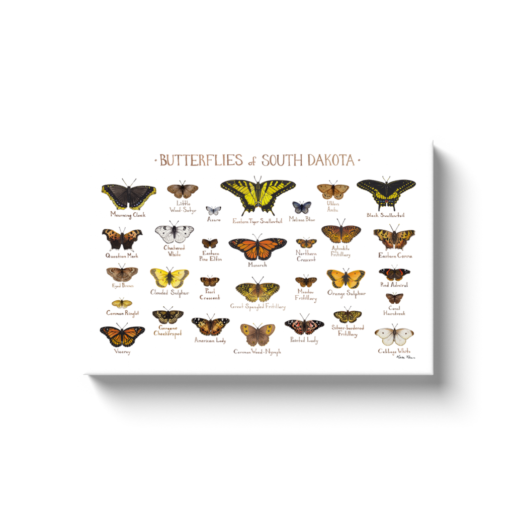 South Dakota Butterflies Ready to Hang Canvas Print