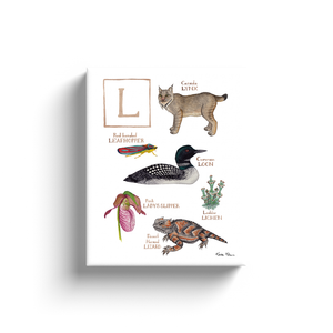 The Letter L Nature Alphabet Ready to Hang Canvas Print