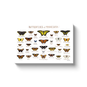 Minnesota Butterflies Ready to Hang Canvas Print