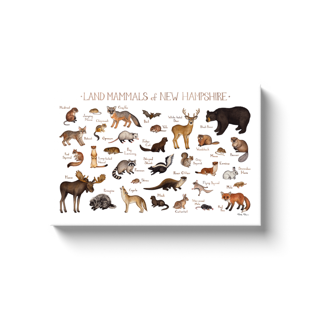 New Hampshire Land Mammals Ready to Hang Canvas Print
