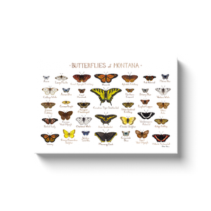 Montana Butterflies Ready to Hang Canvas Print