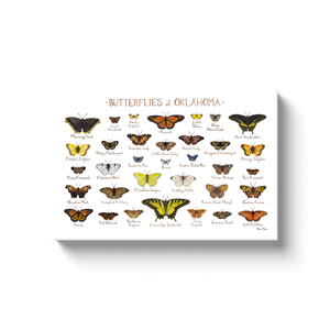 Oklahoma Butterflies Ready to Hang Canvas Print