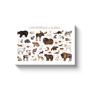 Alaska Land Mammals Ready to Hang Canvas Print