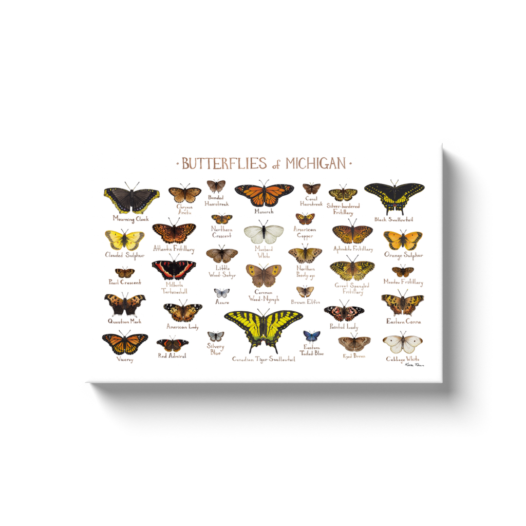 Michigan Butterflies Ready to Hang Canvas Print