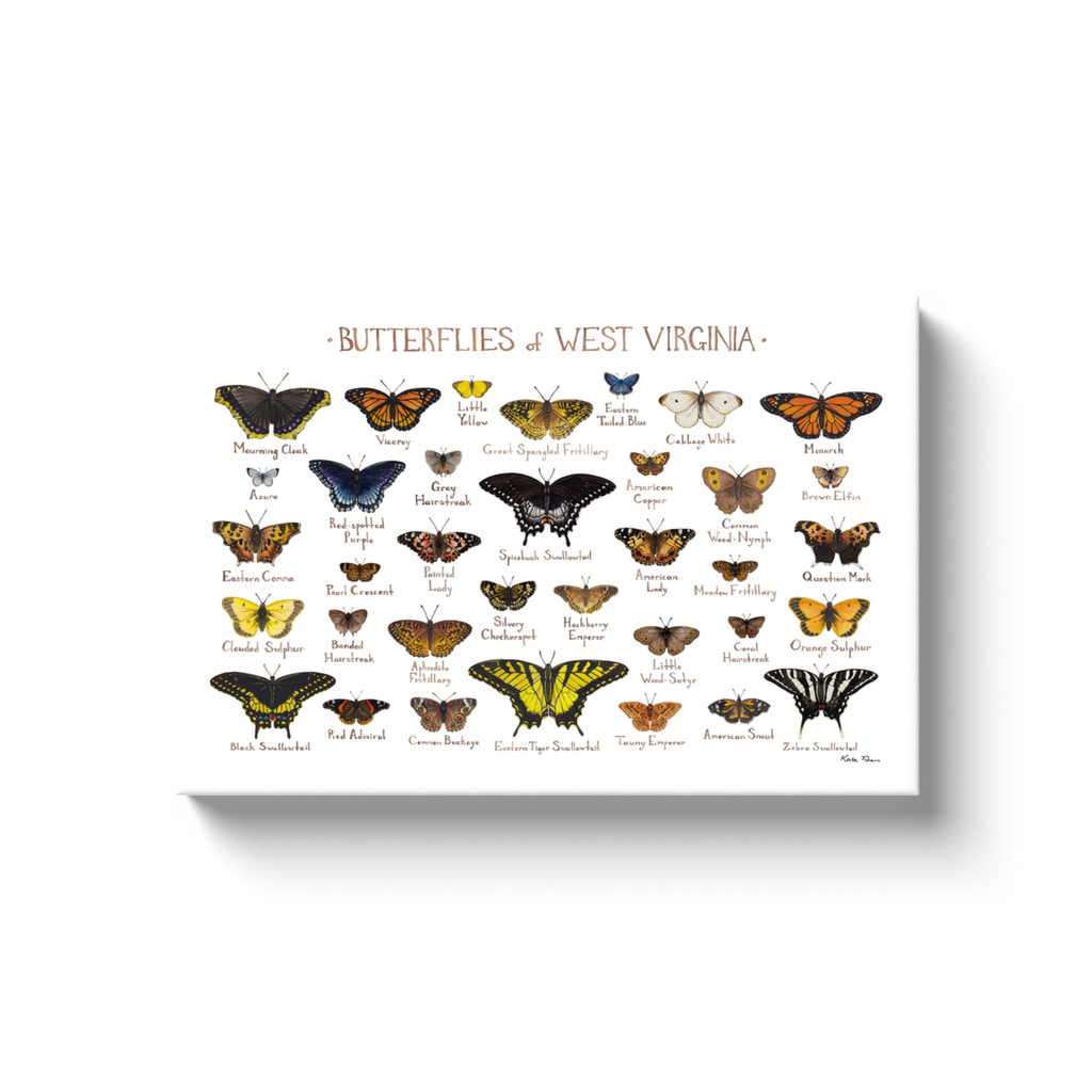 West Virginia Butterflies Ready to Hang Canvas Print