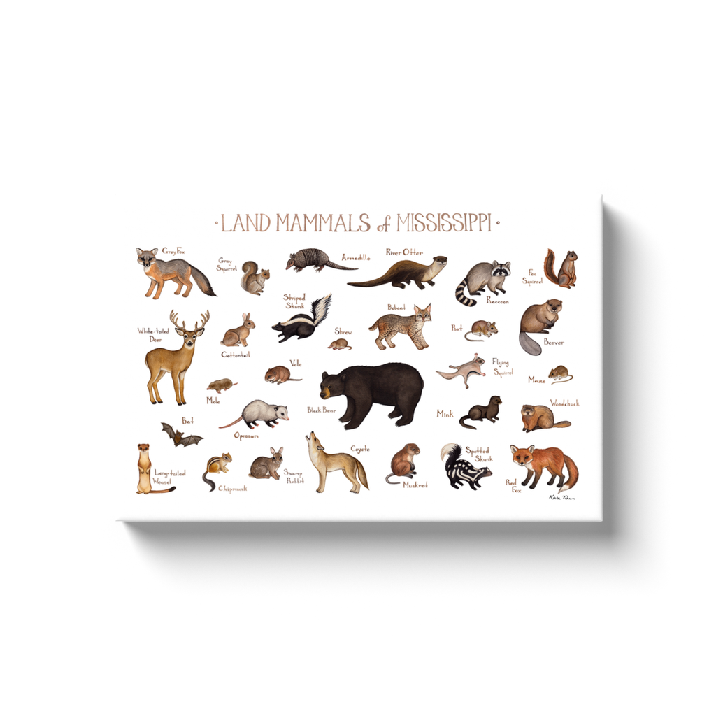 Mississippi Land Mammals Ready to Hang Canvas Print