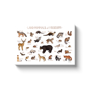 Mississippi Land Mammals Ready to Hang Canvas Print