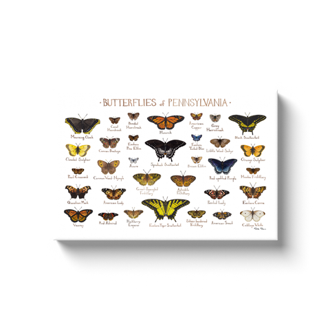 Pennsylvania Butterflies Ready to Hang Canvas Print