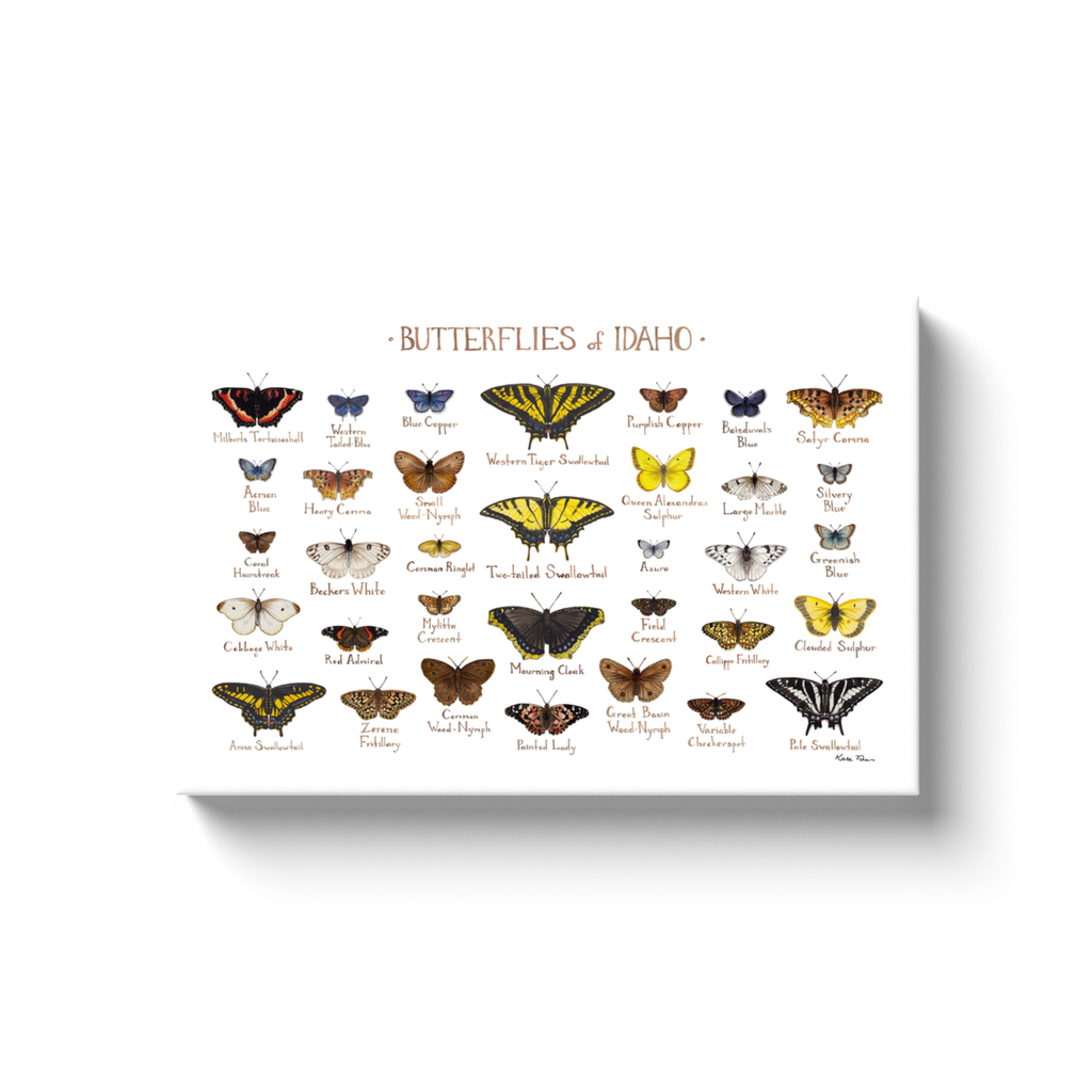 Idaho Butterflies Ready to Hang Canvas Print