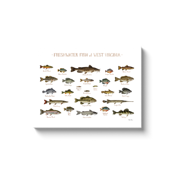 West Virginia Freshwater Fish Ready to Hang Canvas Print