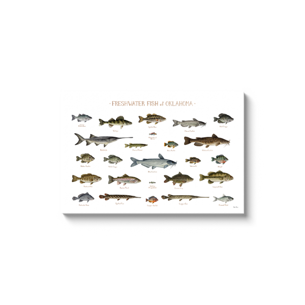 Oklahoma Freshwater Fish Ready to Hang Canvas Print